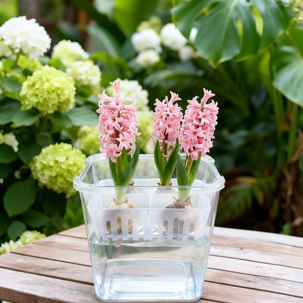 Vase Decor - وعاء زراعة مائية للزهور، مناسب لزراعة